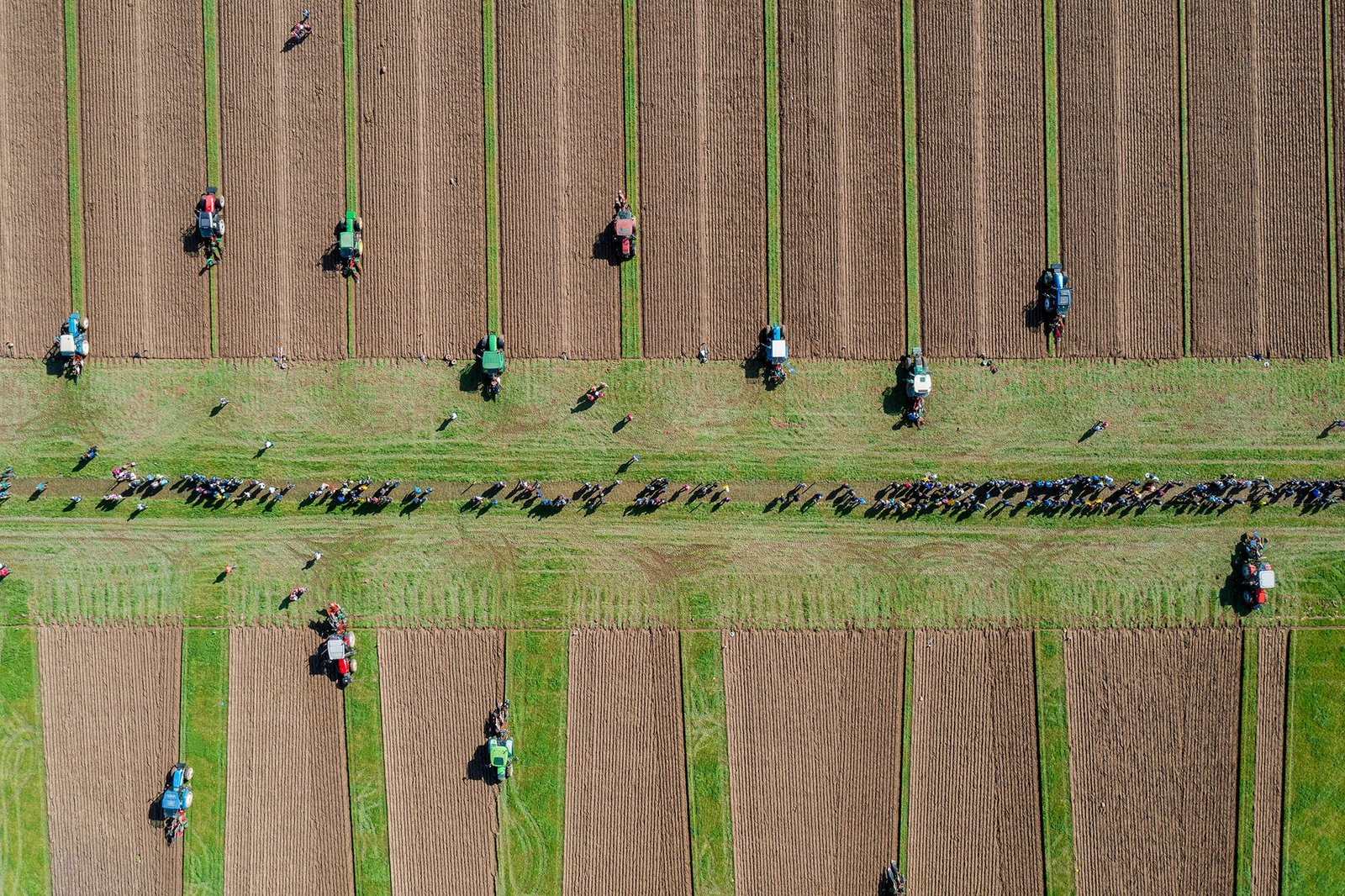 2023 09 21 ploughing 0120